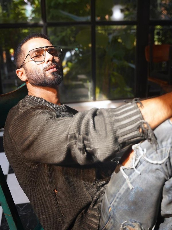 shahid kapoor, bollywood