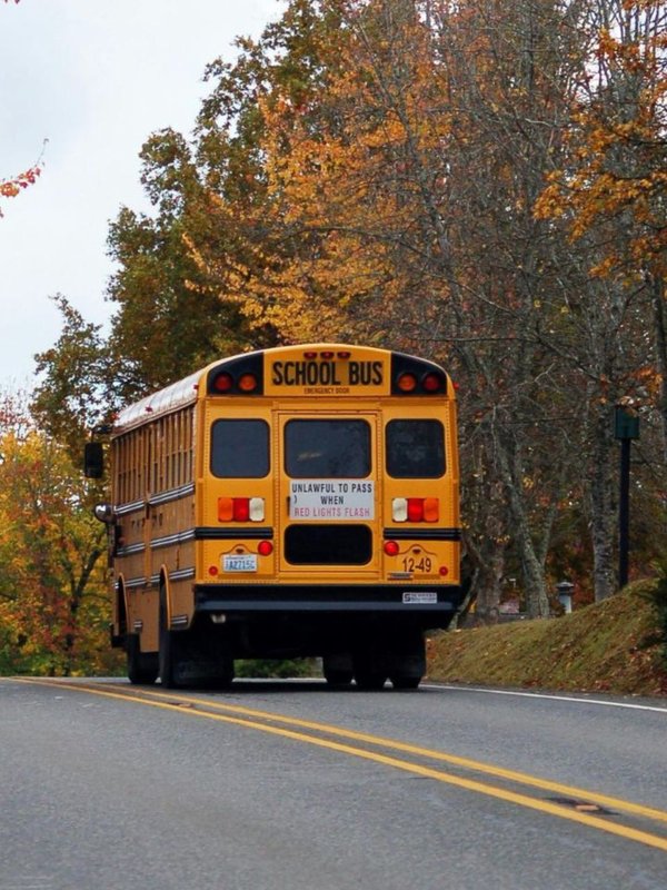 Why school bus color is yellow