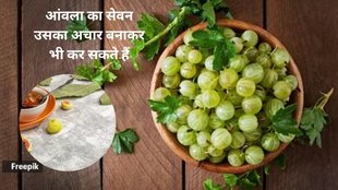 why have amla daily,consume steamed amla daily, gooseberry benefits,रोजाना आंवला खाने के फायदे,आंवला का सेवन कैसे करें,आंवला का फायदे,पका हुआ आंवला खाने के फायदे