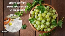 रोज़ाना एक स्टीम आंवला का सेवन सेहत पर कैसा करता है असर, एक्सपर्ट से जानिए