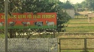 ayodhya | property | ram mandir |