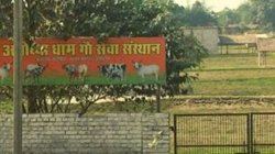 Ram Mandir: आस्था के साथ माया! अयोध्या में 900% बढ़े प्रॉपर्टी के दाम, निवेश करते ही होगा तगड़ा मुनाफा