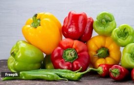bell pepper benefits, jansatta.com,vitamin A source,vitamin K source, शिमला मिर्च का सेवन कैसे करें, शिमला मिर्च का सेवन करने का तरीका