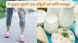 हड्डियों को चट्टान की तरह मज़बूत बनाने के लिए सिर्फ कैल्शियम काफी नहीं, पड़ती है कई और चीजों की जरूरत, सबकी लिस्ट यहां देखें