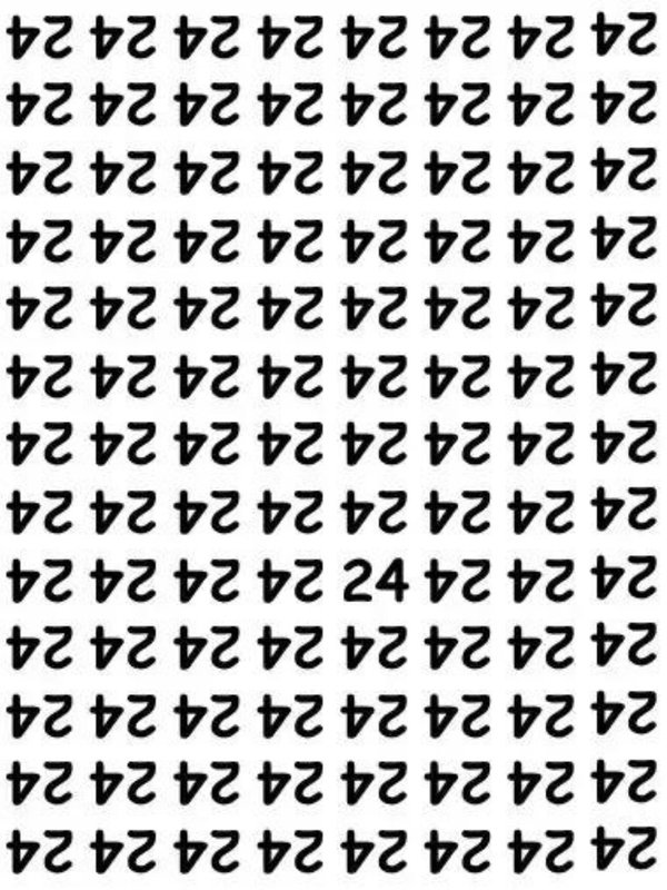 can you spot 24