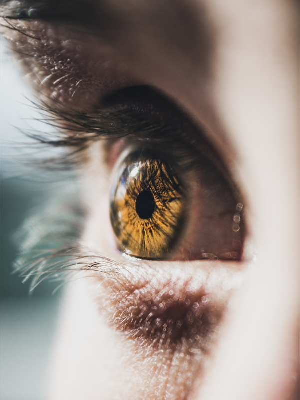 Estimated time period for donating and transplanting a person body tissues and organs after death