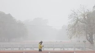 delhi| cold wave