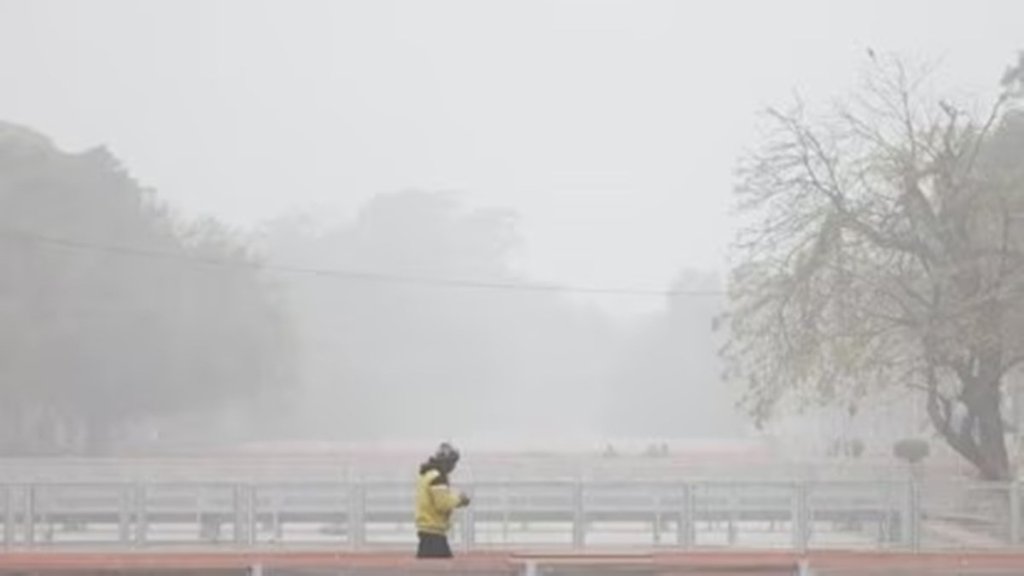 delhi| cold wave