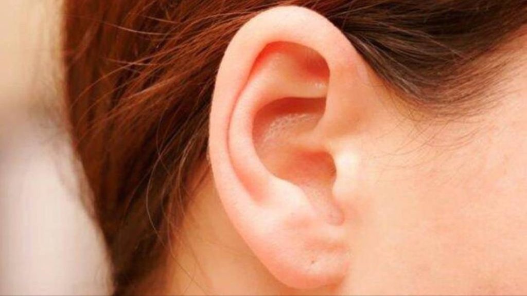 Samudrik sashtra. ear Samudrik sashtra
