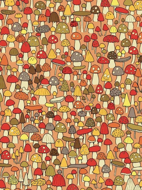 find mouse