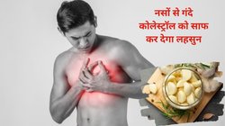 कोलेस्ट्रॉल दिल का बन सकता है दुश्मन, कंट्रोल करने के लिए लहसुन का इस तरह करें सेवन, बाबा रामदेव ने बताया तरीका