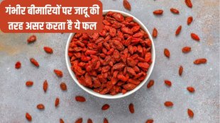goji berries । goji berries nutrition profile । goji berries health benefits