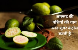 diabetes control, Reduced absorption of sugar​,guava leaf extracts,acharye balkrishn, अमरूद की पत्तियों की चाय