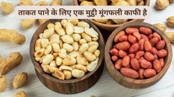 सर्दी में बादाम और अंडे का नहीं बल्कि 100 ग्राम मूंगफली का करें सेवन, कमजोरी होगी दूर, पेट भी रहेगा दुरुस्त