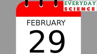 happy new year | leap year |