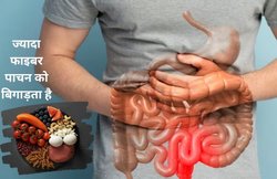 फाइबर वाले फूड्स का अधिक सेवन कब्ज़ का बन सकते हैं कारण, आंतों में जम सकती है गंदगी, एक्सपर्ट ने बताएं साइड इफेक्ट