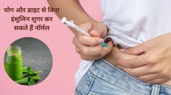 डायबिटीज कंट्रोल करने के लिए 40IU/ml इंसुलिन का करते हैं सेवन, बाबा रामदेव के इन 3 नुस्खों को अपना लें, बिना दवाई के कंट्रोल हो जाएगा ब्लड शुगर