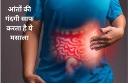 कुछ भी खाते ही पेट फूल कर कुप्पा बन जाता है, किचन में मौजूद इस 1 मसाले को चबा लें, गैस दूर होने के साथ ही आंतों की भी हो जाएगी सफाई