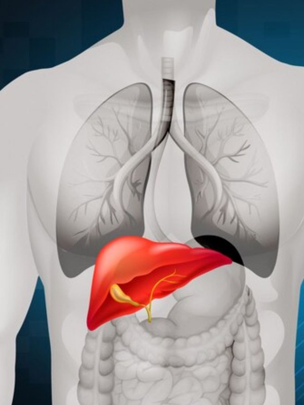 Liver Disorder । Liver Problem । Liver Problem symptoms