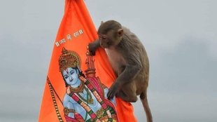 monkey with shri Ram