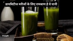 मोरिंगा वाटर क्यों है एक सुपरफूड? ये डायबिटीज मरीजों के लिए कैसे रामबाण दवा है? जानिए 4 फायदे