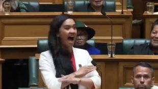 new zealand | parliament | viral video |