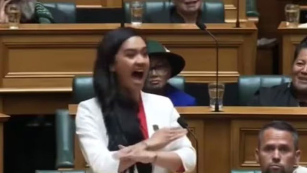 new zealand | parliament | viral video |