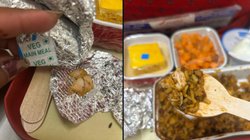 वेज मील में चिकन के टुकड़े! Air India की इस हरकत ने यात्री को किया आग बबूला