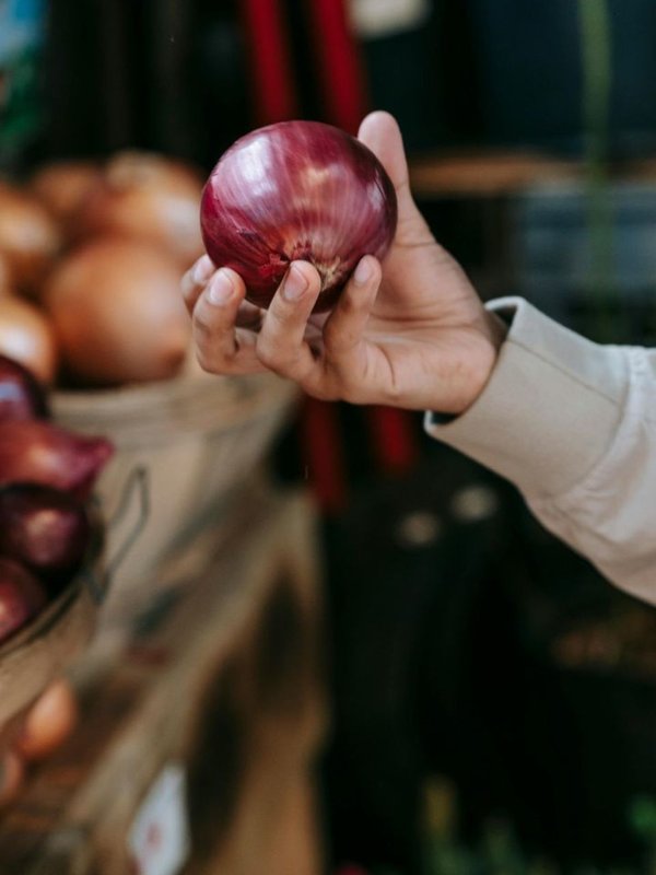 Onion was worshiped once upon a time in Egypt