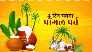 Pongal 2024, Pongal 2024 Date, tamil new year 2024