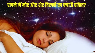 sapne me lion, sapne me mor dekhna, loin in dream