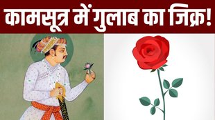 happy rose day 2024 | Rose Day Connection With Mughal