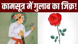 मुगल साम्राज्य की नींव रखने वाले बाबर की सभी बेटियों के नाम में गुलाब का जिक्र, Rose Day पर जानिए गुलाब का चाइना कनेक्शन