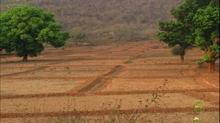 Agriculture Land| Barren