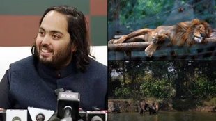 Anant Ambani, Vantara, Mukesh Ambani