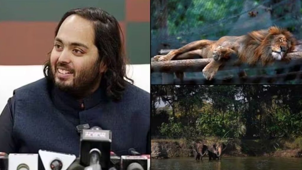 Anant Ambani, Vantara, Mukesh Ambani