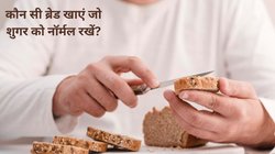 डायबिटीज मरीजों के लिए मल्टीग्रेन ब्रेड,गेहूं की रोटी और ब्राउन ब्रेड का सेवन सुरक्षित है? Blood Sugar नॉर्मल रखने के लिए कौन सी Bread है बेहतर, जानिए