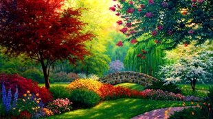 Beauty seen| Nature