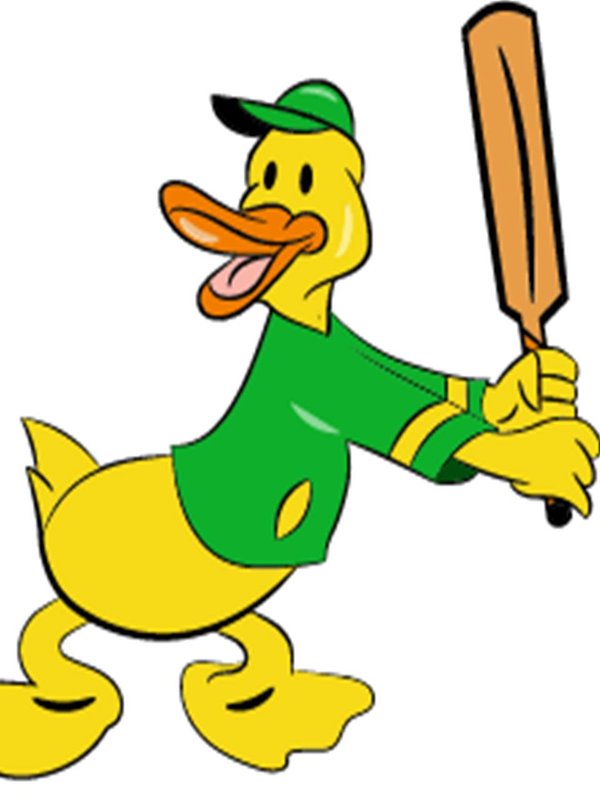 Types of Duck in Cricket, Types of Duck, Duck in Cricket