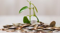 Fixed Deposit: आ गई एफडी पर ज्यादा ब्याज देने वाली नई Utsav FD Scheme, कम टाइम पीरियड में ज्यादा ब्याज
