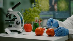 Home science| scope| Job