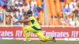 NZ vs AUS T20I Series, Marcus Stoinis, Aaron Hardie