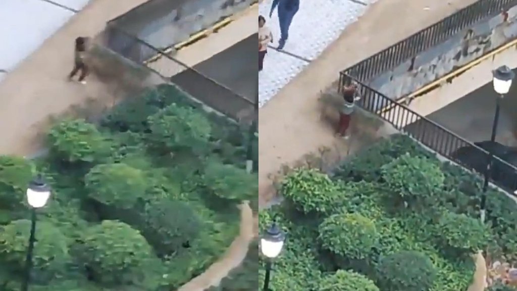 NOIDA | PUPPY | ANIMAL DIED |