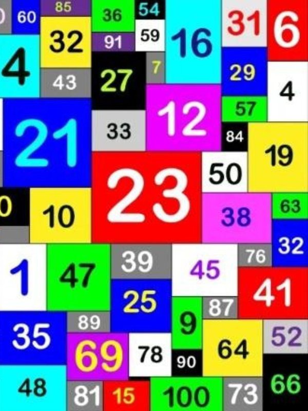 Optical Illusion Test