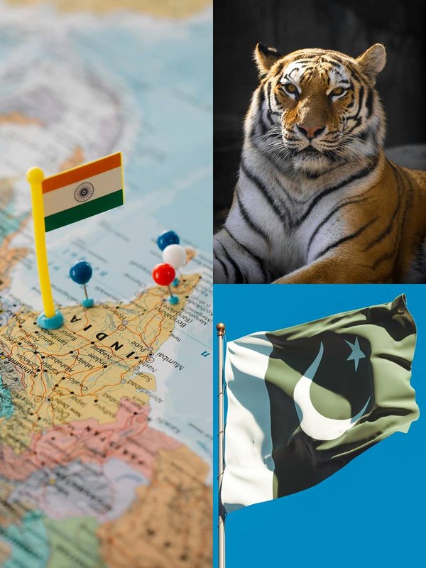 Pakistan National Animal