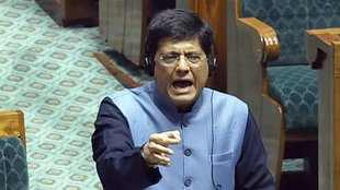 lok sabha | Piyush Goyal | Narasimha Rao