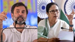 Lok Sabha Elections 2024, TMC, Congress