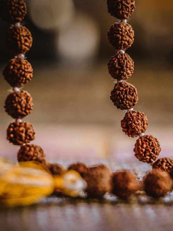 Rudraksha । Rudraksha benefits । Rudraksha significance