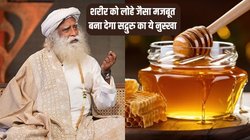 रोज इस तरह शहद में मिलाकर खाएं ये दो चीज, Sadhguru ने बताया कोसों दूर रहेंगी बीमारियां, एक्सपर्ट्स से जानें कितना फायदेमंद है ये नुस्खा