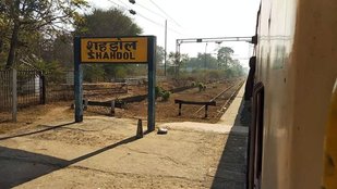 Shahdol Lok Sabha Seat, Lok Sabha Chunav 2024,
